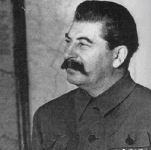 希特勒于总统府后花园自杀，而苏联为啥说希特勒没有死？