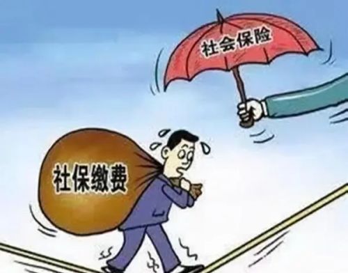 4050社保补贴，一直个人交但无业的人为什么领不了？