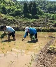 农村土地无人耕种和荒废问题怎样解决？