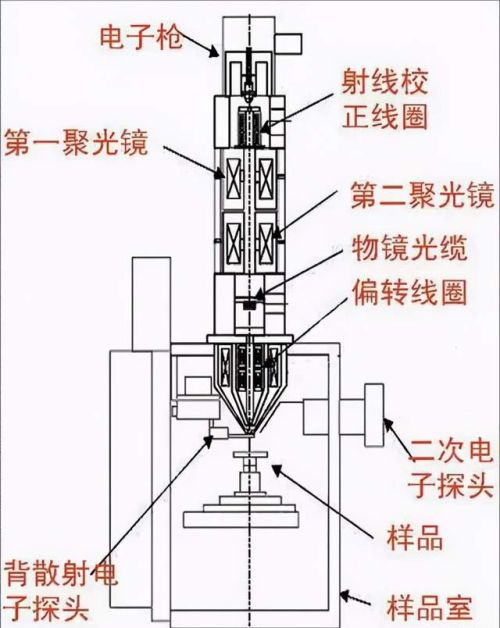 病毒的终极目的是为了杀死宿主还是和宿主共生？