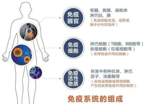 病毒的终极目的是为了杀死宿主还是和宿主共生？