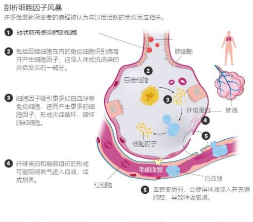 病毒的终极目的是为了杀死宿主还是和宿主共生？