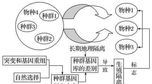 为什么欧美人普遍比国人高大？