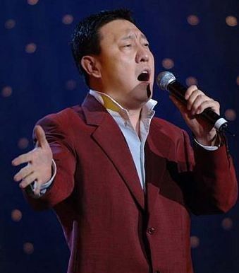 中国有哪些歌手可以称作殿堂级歌手？