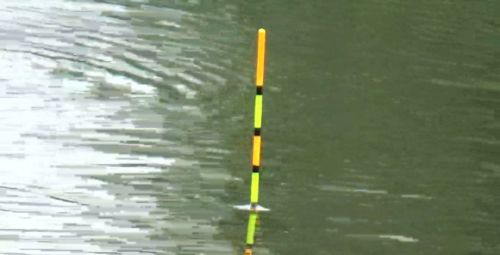 钓白条多长的鱼竿最合适？