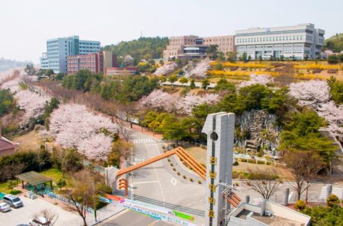 韩国留学怎么样？为什么很多人不认可韩国留学？