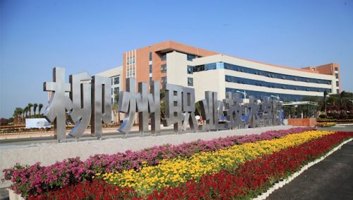 广西南宁职业技术学院和广西柳州职业技术学院相比，哪个更有优势？