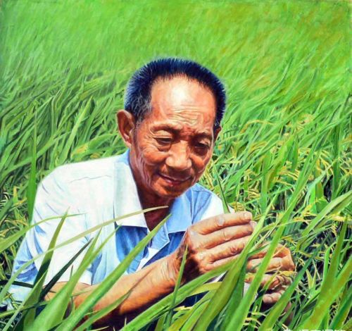越南人口近亿，国土却仅有中国的三十分之一，为何还有大米出口呢？