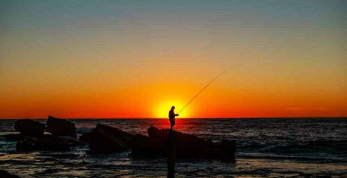 早上几点钓鱼最好？