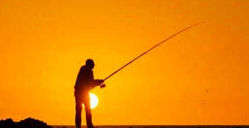 早上几点钓鱼最好？