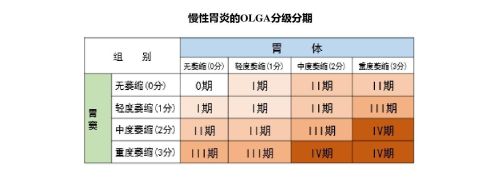 慢性胃炎为何久治不愈，什么原因？