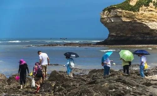 大连哪些地方能赶海？