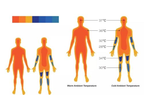 为什么人体的温度不设置的高一点使病毒、癌细胞失活？