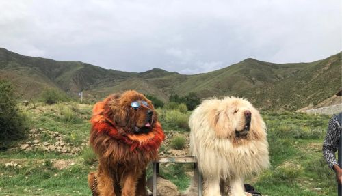 可以分享一些你亲手拍摄的自然美景高清原图并说说你是如何拍摄的吗？