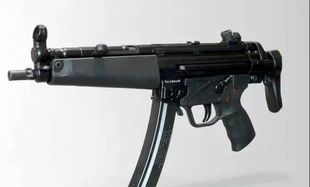 给你一把MP5冲锋枪配30发子弹，能打赢50米外准备吃你的老虎吗？