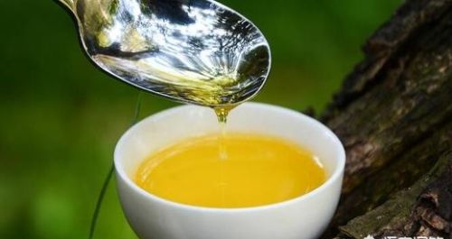 茶油树与油茶树有什么不同？