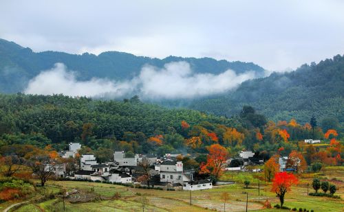 农村脱贫后驻村帮扶工作队会马上撤离吗？如果留下来，还可以为农民干些什么？