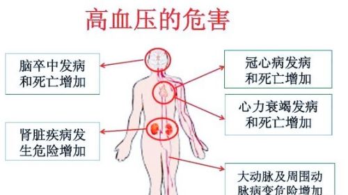 高血压为什么根治不了？