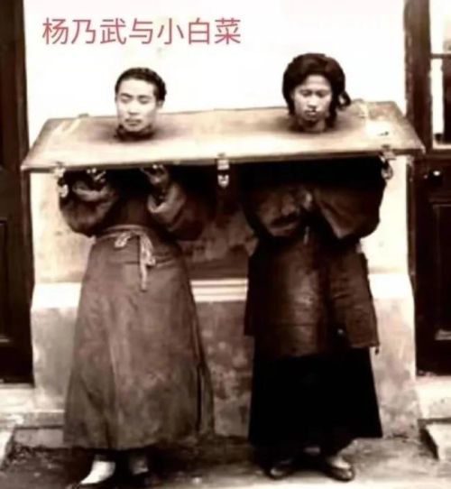 清末奇案“杨乃武与小白菜案”，为何会导致上百名官员被革职？