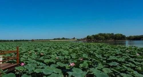 河北保定有什么可看的景点？