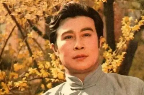你觉得中国影坛上最儒雅的男演员是谁？
