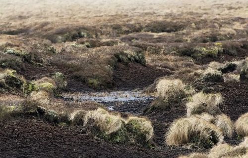 影视中常有人陷沼泽被泥浆吞沒的情景，这符合科学原理吗？