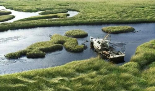 影视中常有人陷沼泽被泥浆吞沒的情景，这符合科学原理吗？