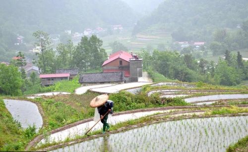 你记忆中印象最深的一次下雨是什么时候？