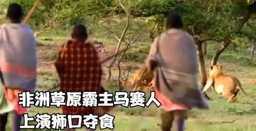 把20个没有任何装备的特种兵流放到非洲大草原上，他们的生存几率有多大？