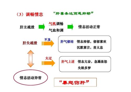 肝主疏泄是什么意思，有哪些具体表现呢？