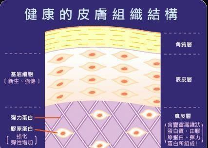 请问水，乳，霜，精华哪个能不用？