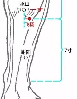 具有抵御外邪、灌注气血、联络脏腑、沟通表里的穴位有哪些？