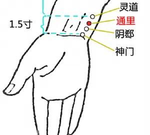 具有抵御外邪、灌注气血、联络脏腑、沟通表里的穴位有哪些？