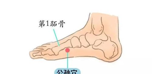 具有抵御外邪、灌注气血、联络脏腑、沟通表里的穴位有哪些？