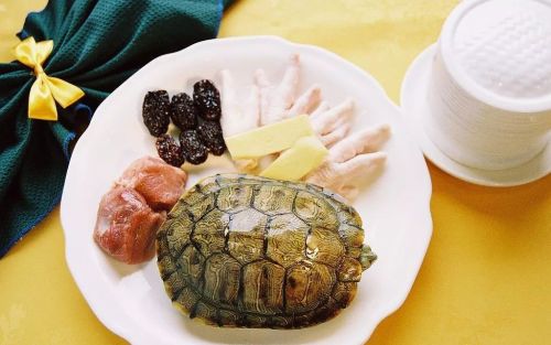 龟肉有什么营养价值？什么人最好不要吃龟肉？