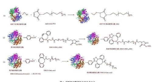 人体缺少什么会造成尿酸高？