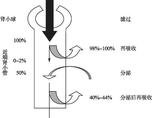 人体缺少什么会造成尿酸高？