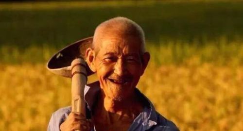 中国老农民为什么七八十岁还要干活？