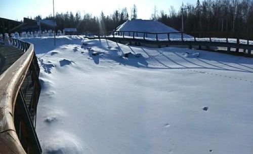 你心目中最美的雪景是什么样子的？