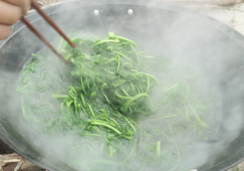 这菜浑身都是宝，可惜很多人当草，鲜嫩营养，蒸包子吃特香！