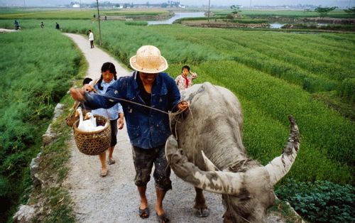 70年代的中国是什么样子？一个意大利人，用3万张照片告诉你