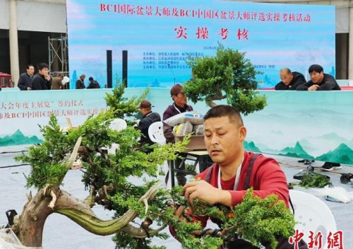 2023年国际盆景大会年度主展览落户江苏“花乡”