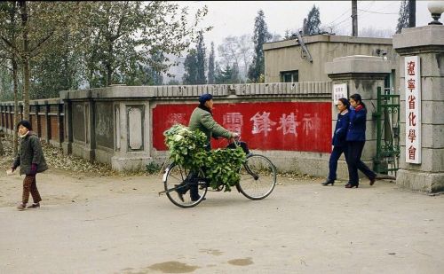 辽宁老照片：1980年代的沈阳、鞍山旧影，40年来变化太大