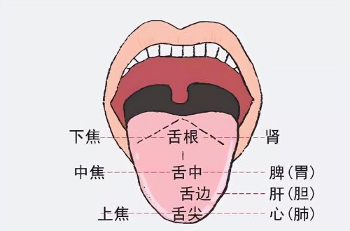 舌头有齿痕，又有裂纹，多是胃强脾弱，2味药泡水喝，健脾养胃阴