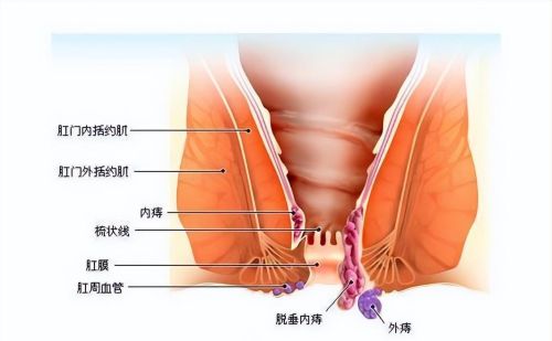 动物血到底能吃吗？吃了排黑便，是肺部在排毒吗？告诉你真相