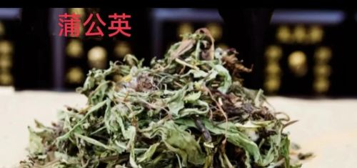 夏枯草：清热解毒，消结散肿，但这类人不能用，不然越用身体越差