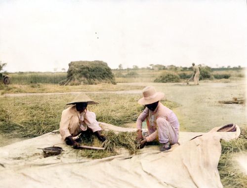 1920年7月的安徽宿州，一个美国人镜头里宿县城外的麦收景象