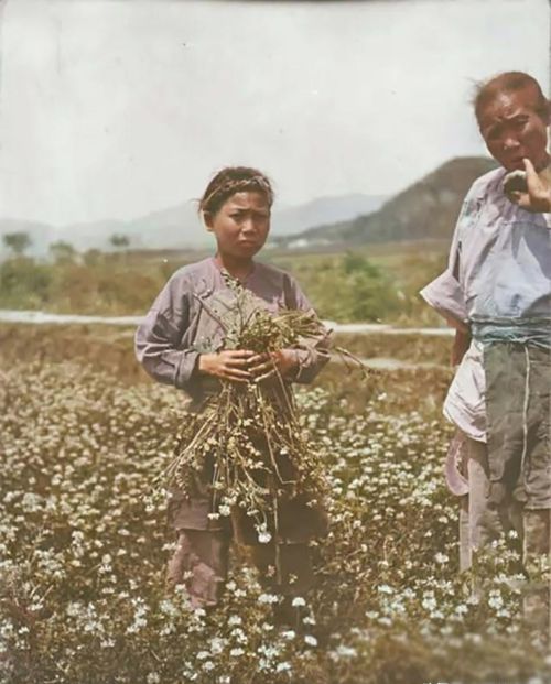 上色晚清老照片，让我们一同回到100多年前的清朝去看一看