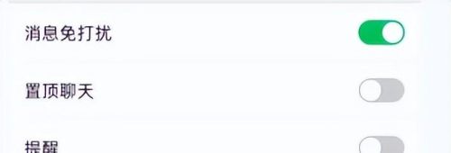 怎么在微信里设置消息免打扰？