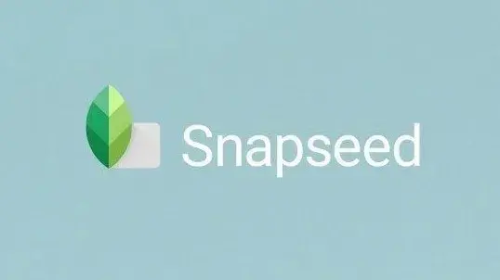 Snapseed调整图片、突出细节、白平衡功能详解